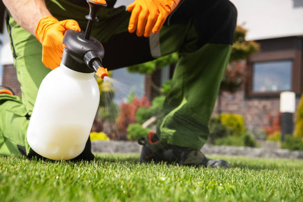 Best Flea Control Services  in Winnsboro Mills, SC