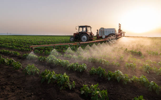 Best Mosquito Control Services  in Winnsboro Mills, SC