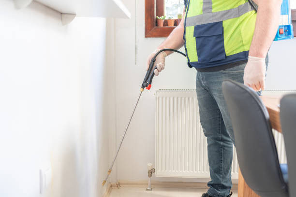 Best Wasp Removal Services  in Winnsboro Mills, SC
