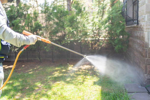 Best Spider Control Near Me  in Winnsboro Mills, SC