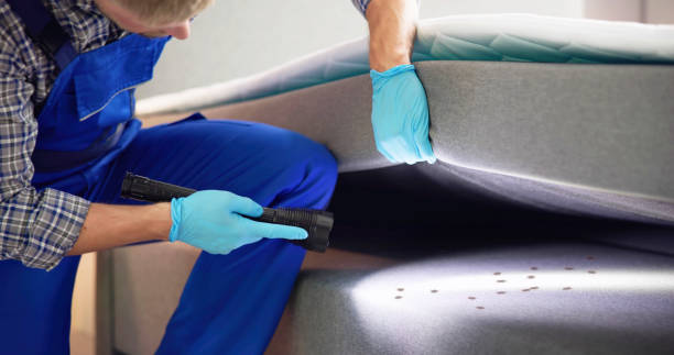 Best Local Pest Control Services  in Winnsboro Mills, SC