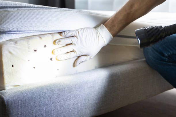 Professional Pest Control in Winnsboro Mills, SC
