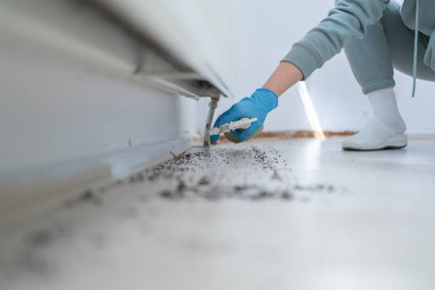 Best Pest Removal Services  in Winnsboro Mills, SC