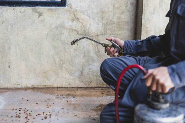 Best Affordable Pest Control Services  in Winnsboro Mills, SC
