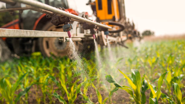 Best Wildlife Control Services  in Winnsboro Mills, SC