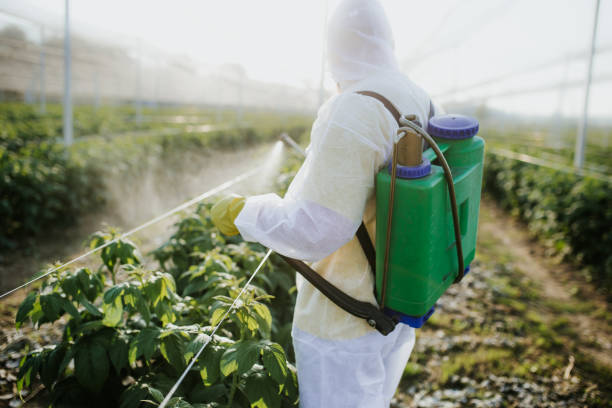 Best Pest Control for Restaurants  in Winnsboro Mills, SC